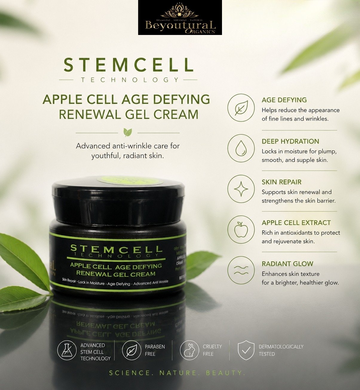 Big set: STEMCELL ADVANCE REJUVENATION SET with STEMCELL TECHNOLOGY - Image 5